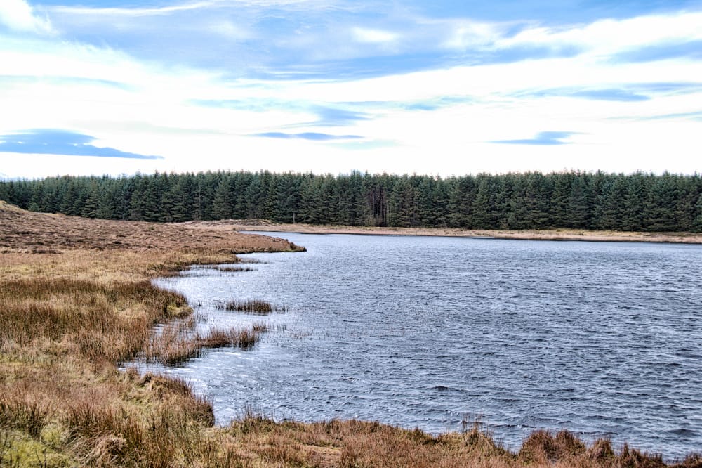 DSC_0076