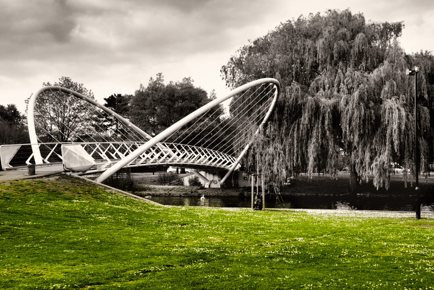DSC_0115v2