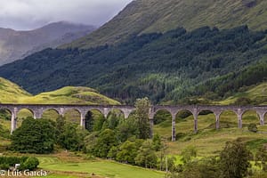IMG_0724
