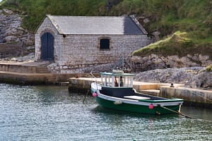 IMG_1154